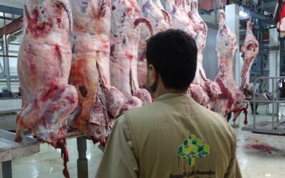 بنيان تعلن استكمال ترتيبات إطلاق مشروع اللحوم والأضاحي العيدية للعام 1445هـ