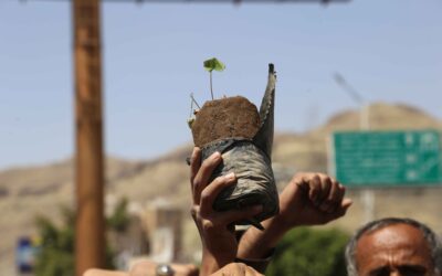 مشروع زيادة مساحة الغطاء النباتي، والمحميات وحمايتها