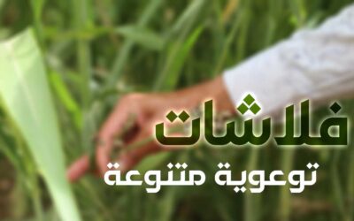 فلاشات ارشادية وتوعوية متنوعة